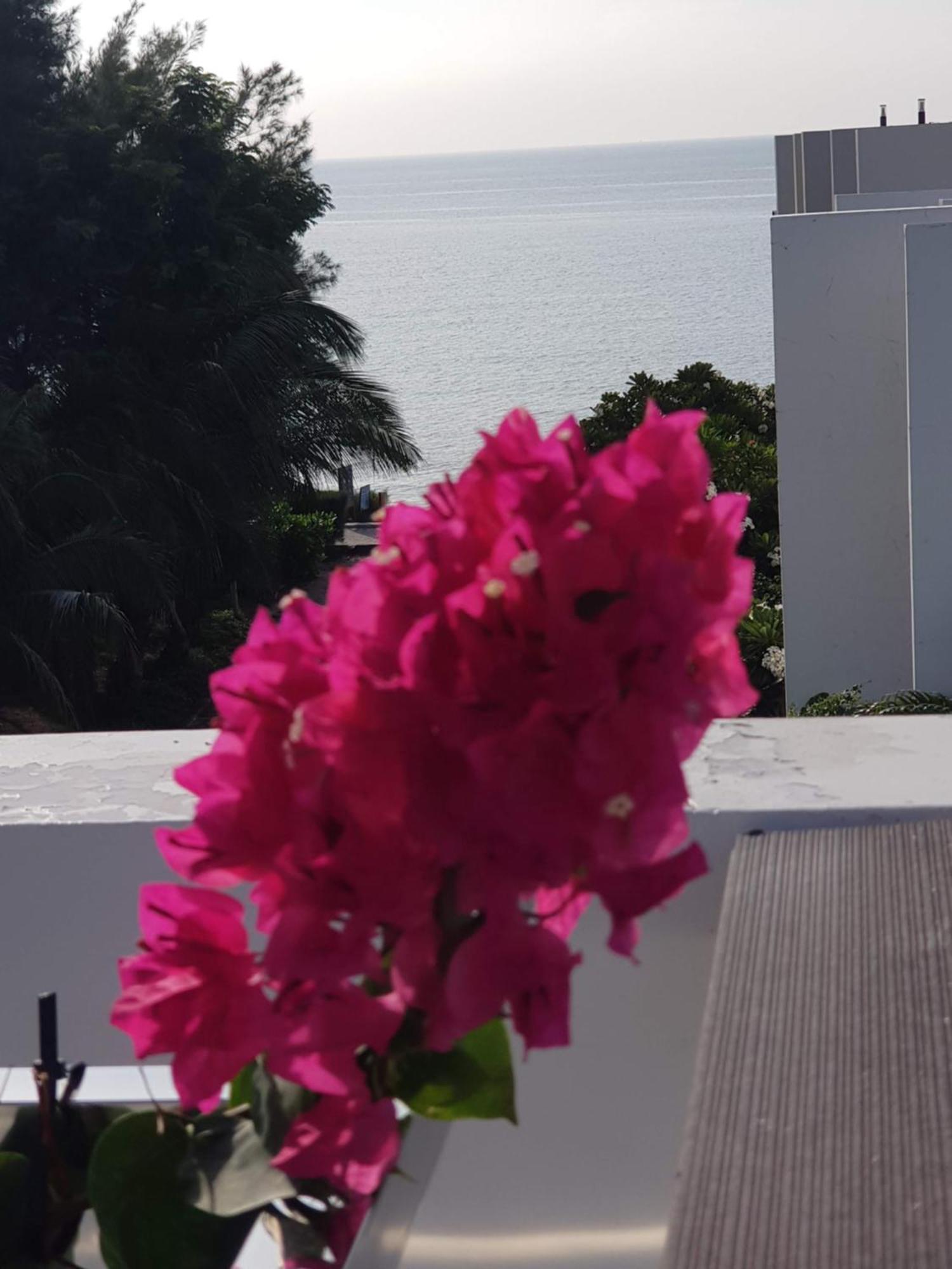 Oceanami Resort Sea View ลองไห่ ภายนอก รูปภาพ