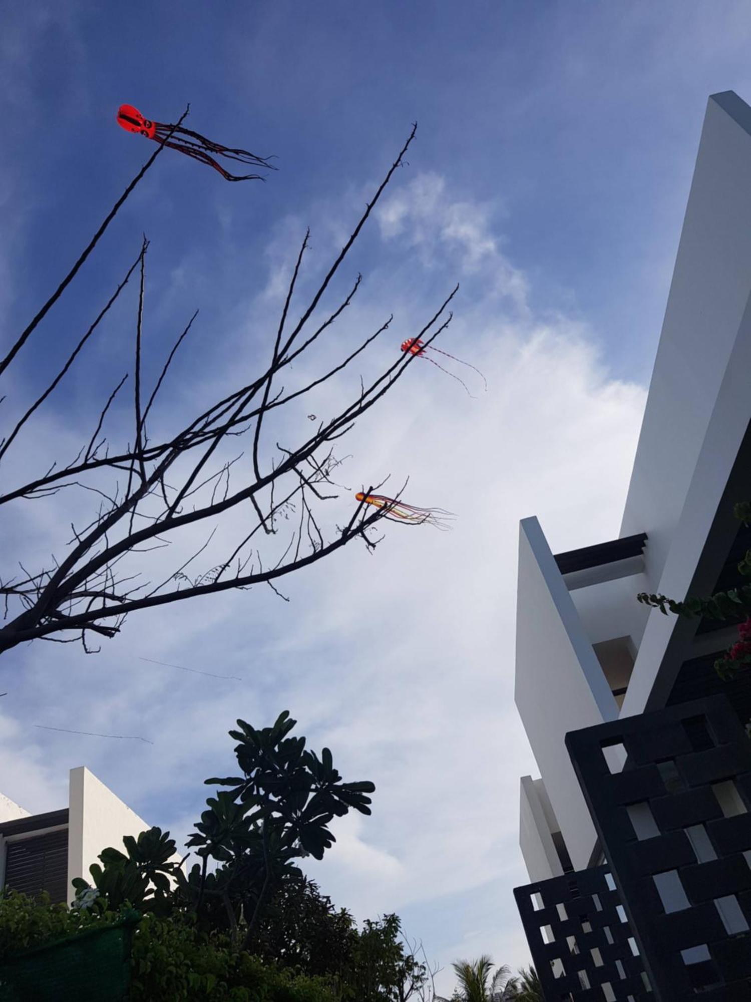 Oceanami Resort Sea View ลองไห่ ภายนอก รูปภาพ