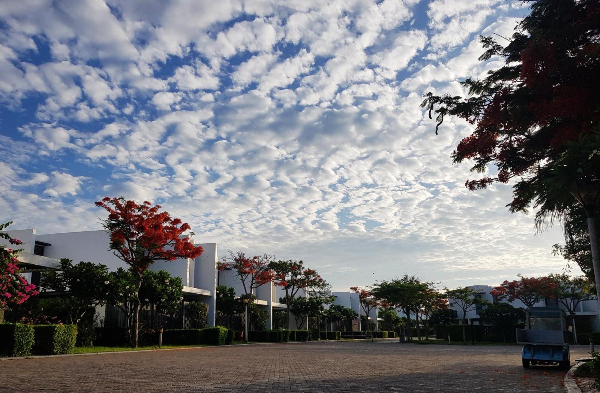 Oceanami Resort Sea View ลองไห่ ภายนอก รูปภาพ